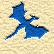 Bluerider