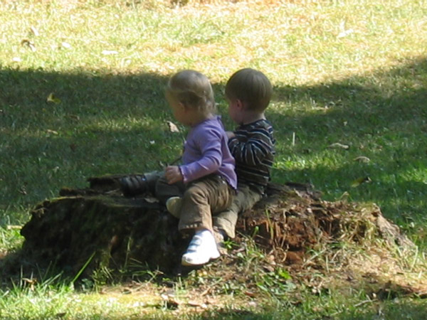 IMG_7012crop