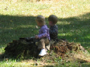 IMG_7012crop