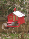 IMG_8076