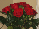 IMG_3521crop