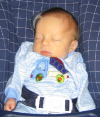 Baby_Pictures_016.jpg (177291 bytes)