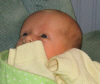 IMG_0305.JPG (180191 bytes)
