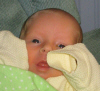 IMG_0306.JPG (185567 bytes)