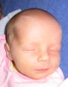 IMG_0317.JPG (162488 bytes)
