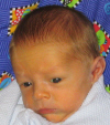 IMG_0321a.JPG (216889 bytes)