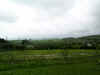 2079_field.jpg (20054 bytes)
