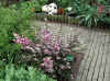 2505_garden.jpg (799045 bytes)