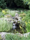 2564_waterfall.jpg (55995 bytes)