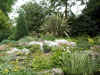 2565_garden.jpg (57712 bytes)