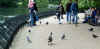2577_park.jpg (18182 bytes)