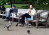 2578_park.jpg (18387 bytes)