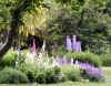 2605_flowers.jpg (58383 bytes)