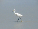 IMG_3665crop