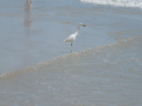 IMG_3666crop