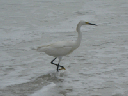 IMG_3802crop