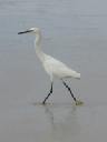 IMG_3805crop