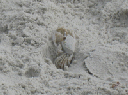 IMG_3832crop
