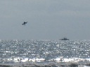 IMG_4044crop