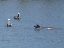 IMG_4119crop