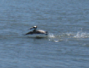 IMG_4133crop
