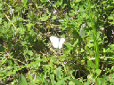 IMG_4177crop