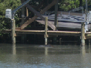 IMG_4182crop