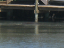 IMG_4183crop