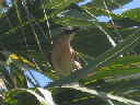 IMG_4187crop