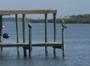 IMG_4206crop