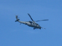 IMG_4209crop