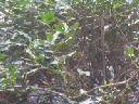 IMG_2926crop