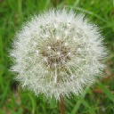 IMG_2686crop