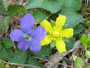 IMG_2711crop