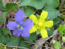 IMG_2711crop