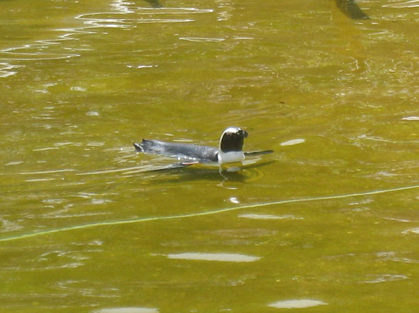 IMG_5330crop