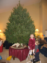 IMG_7473a