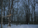 IMG_7877b