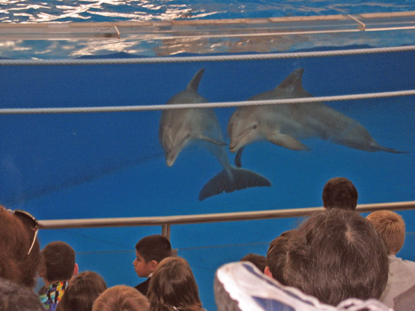 IMG_8291b