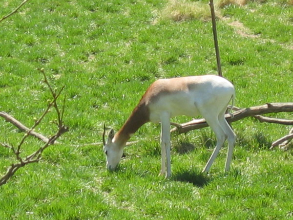 IMG_8510