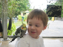 IMG_9005b