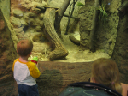 IMG_9221