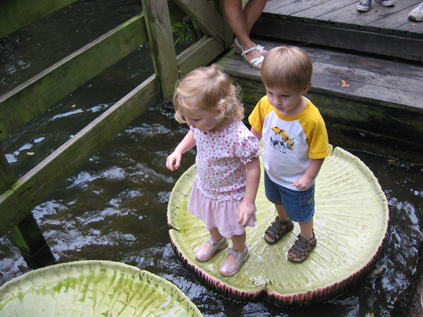IMG_10092