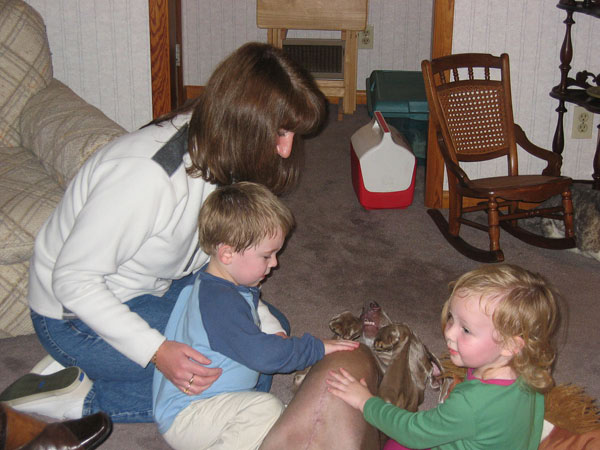 IMG_0606a