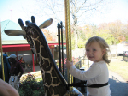 IMG_0664a