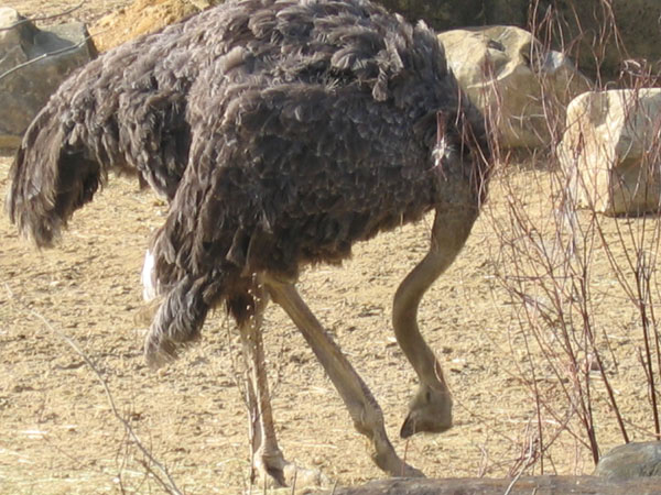 IMG_0829