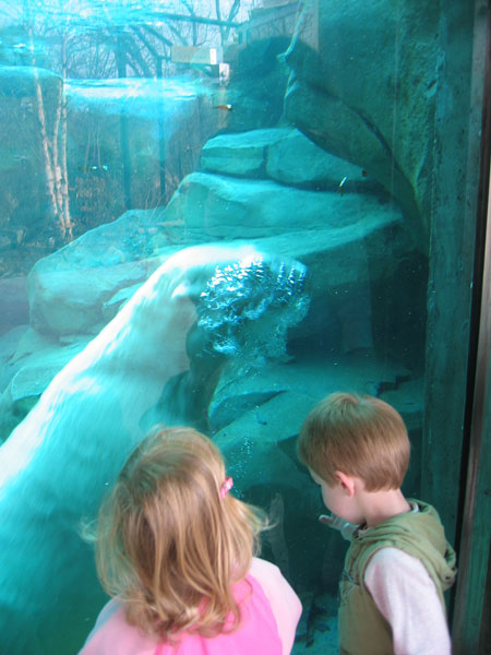 IMG_0903