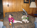 IMG_0918a