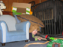 IMG_1145a