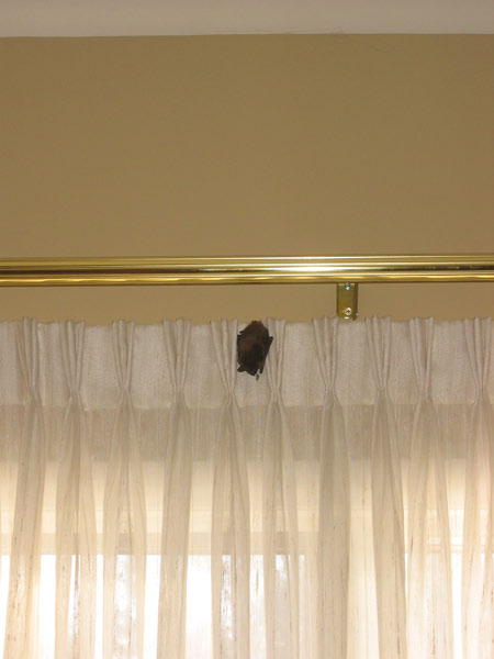 IMG_1359